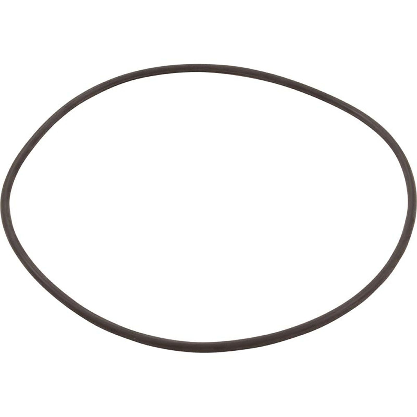 O-Ring for Filter Head