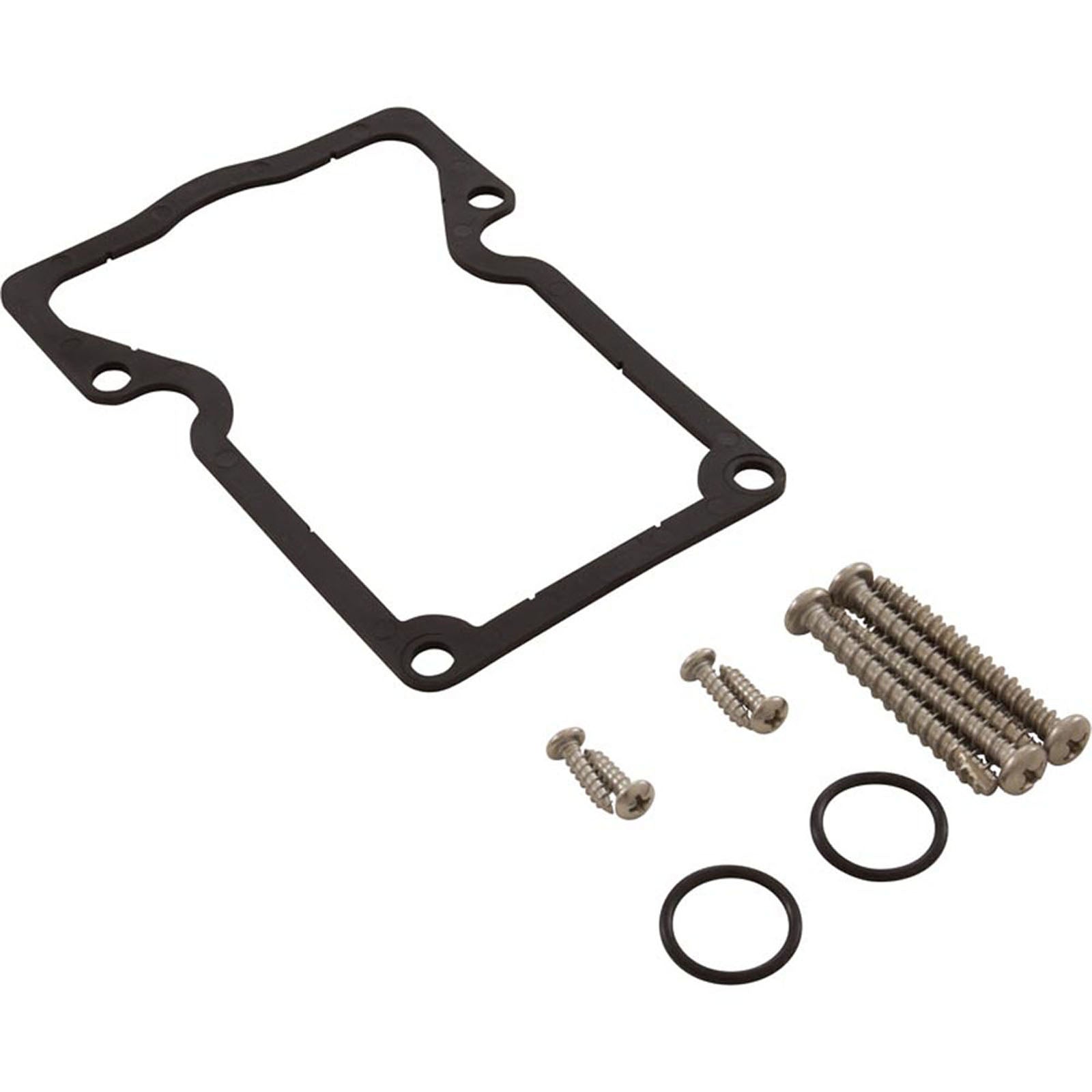 Gasket Kit, Jandy Valve Actuator, w/ Screw