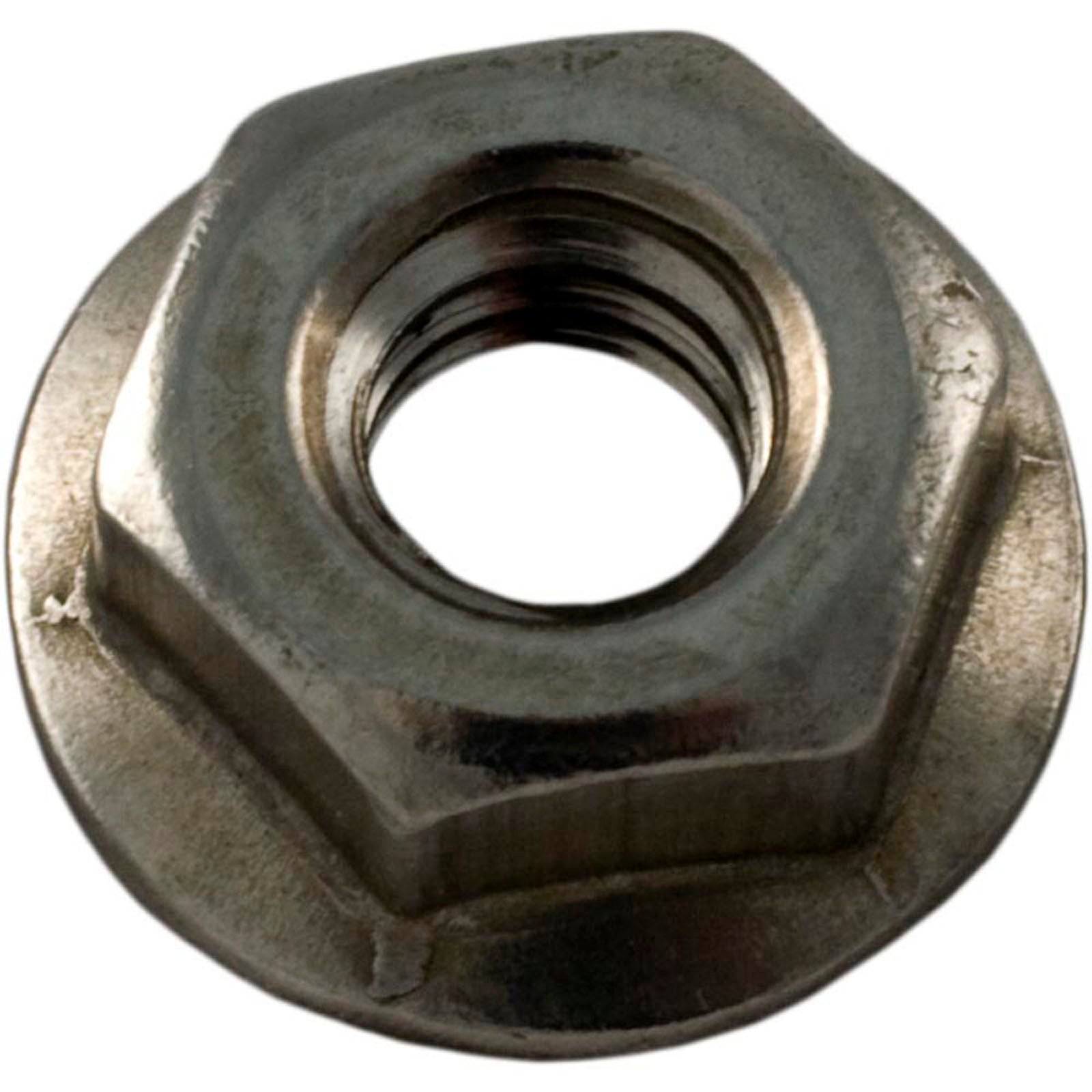 Nut, Pentair StaRite 1-1/2" Top/Side Mount Valve, 1/4"-20,SS
