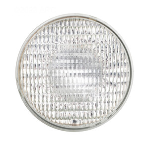 Hayward Sealed Beam Light Bulb - 300 Watts 12 Volts, SPX0502Z1