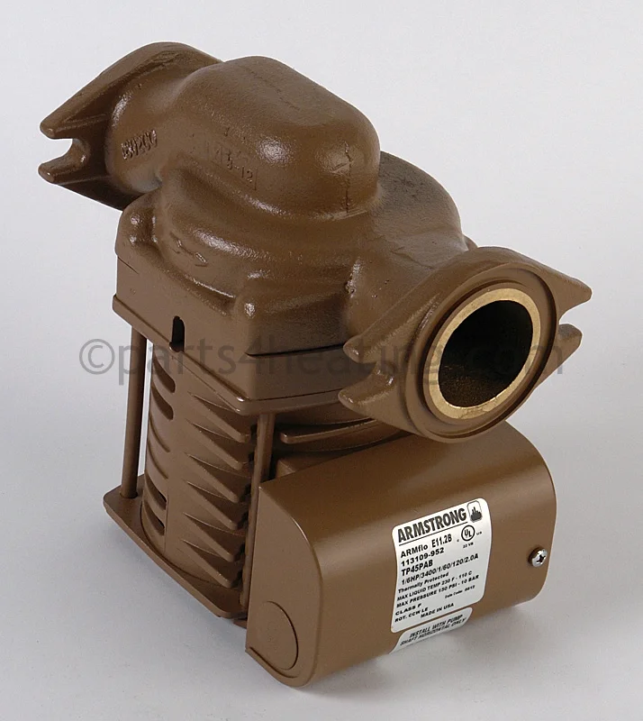 LochinvarARM3045PABWater Heater Pump 1/6 HP 120 Volts AC