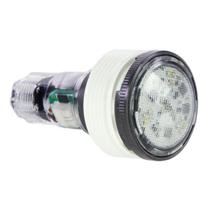 Pentair 1.5"MPT White Microbrite Led Light, 100' Cord, 12V,EC-620429