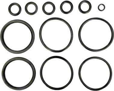 Hayward Header O-Ring Kit, FDXLFOR1930