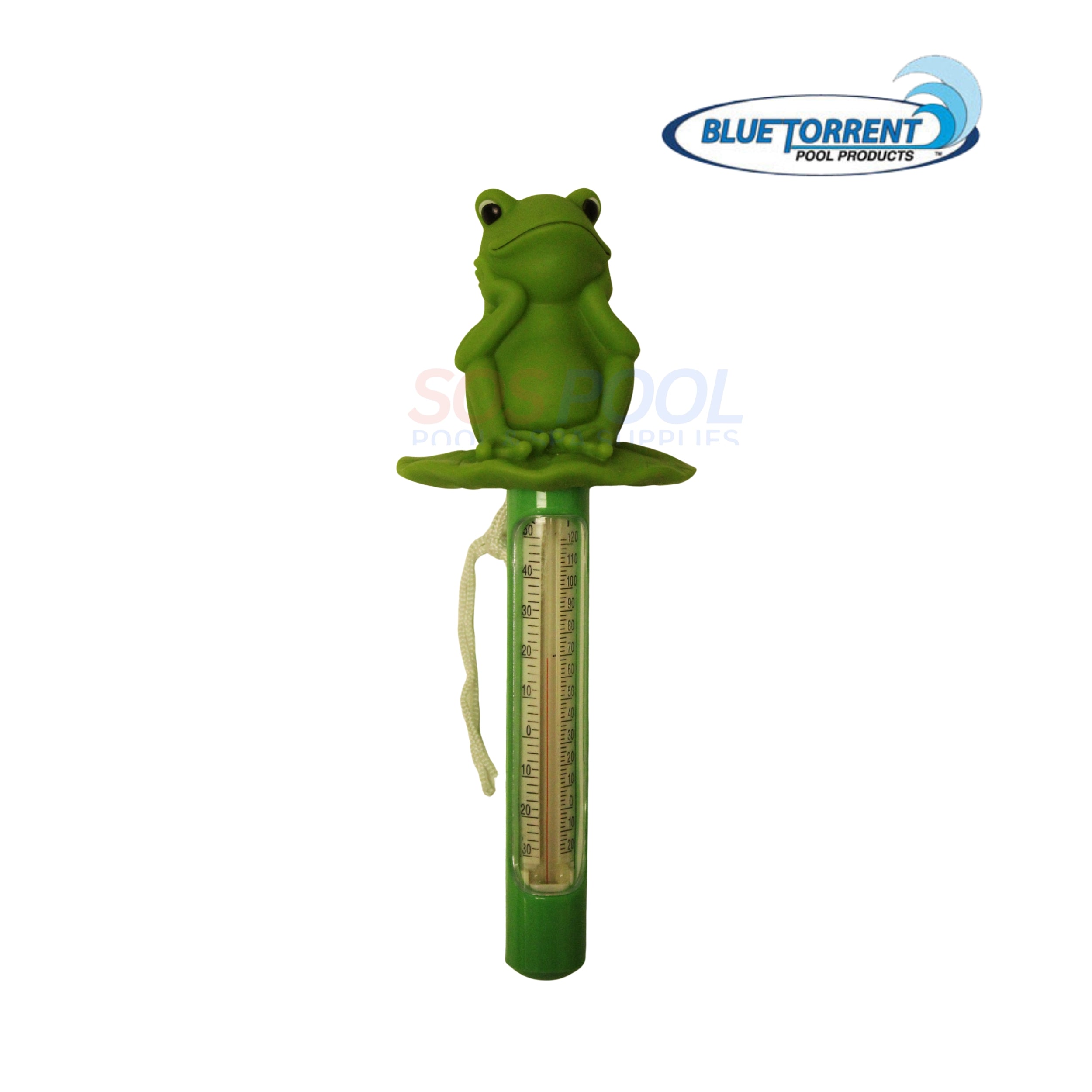 Blue Torrent Felix the Frog Floating Thermometer | BS20494