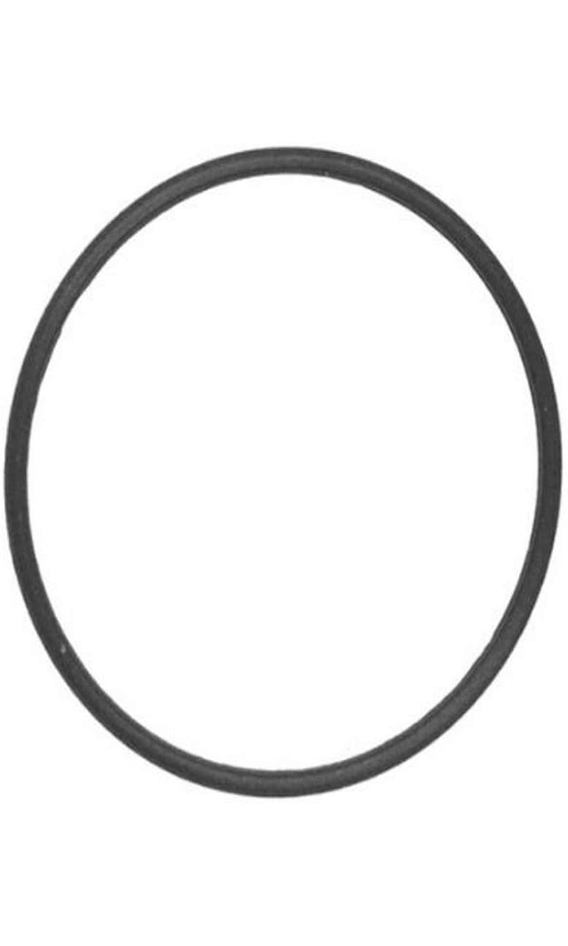 Hayward HCP 4000 Diffuser O-Ring - HCXP6015A