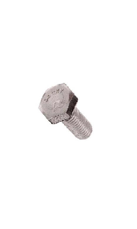 Hayward HCP 4000 Motor Mounting Screws (4 Pack) - HCXP6020A