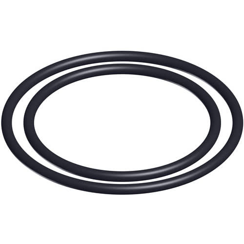 Hayward O-Ring Kit, Set of 2 | DEX2420Z8A