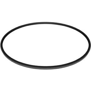 Hayward Metal-Reinforced Filter Seal | DEX2422Z2