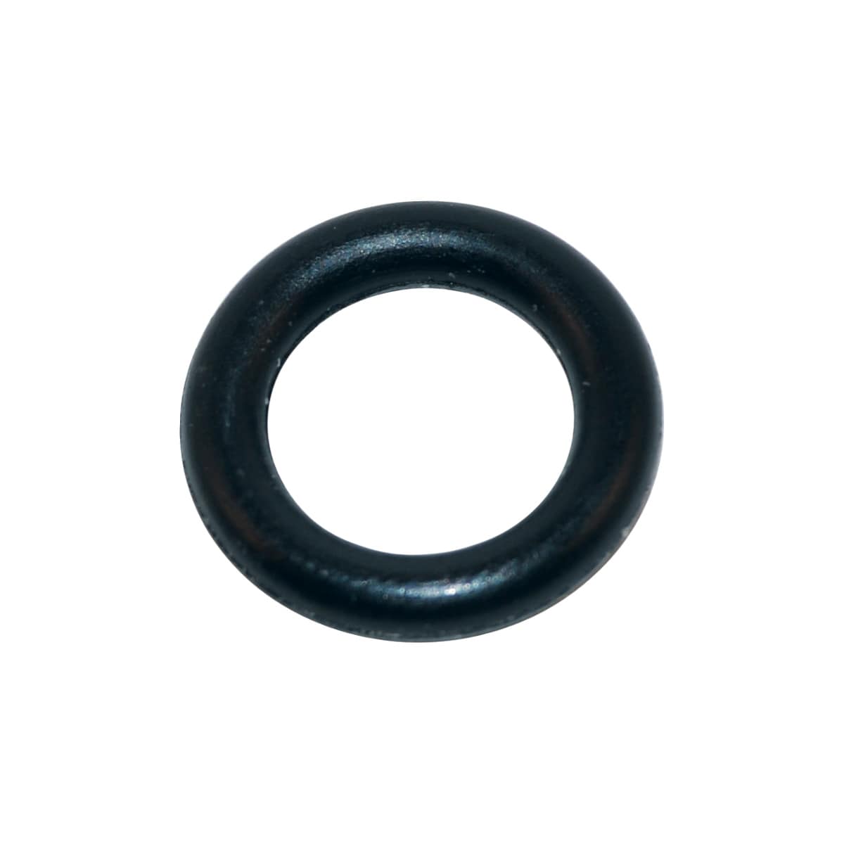 Hayward O-Ring Set, Pack of 10 | SPX1082Z410