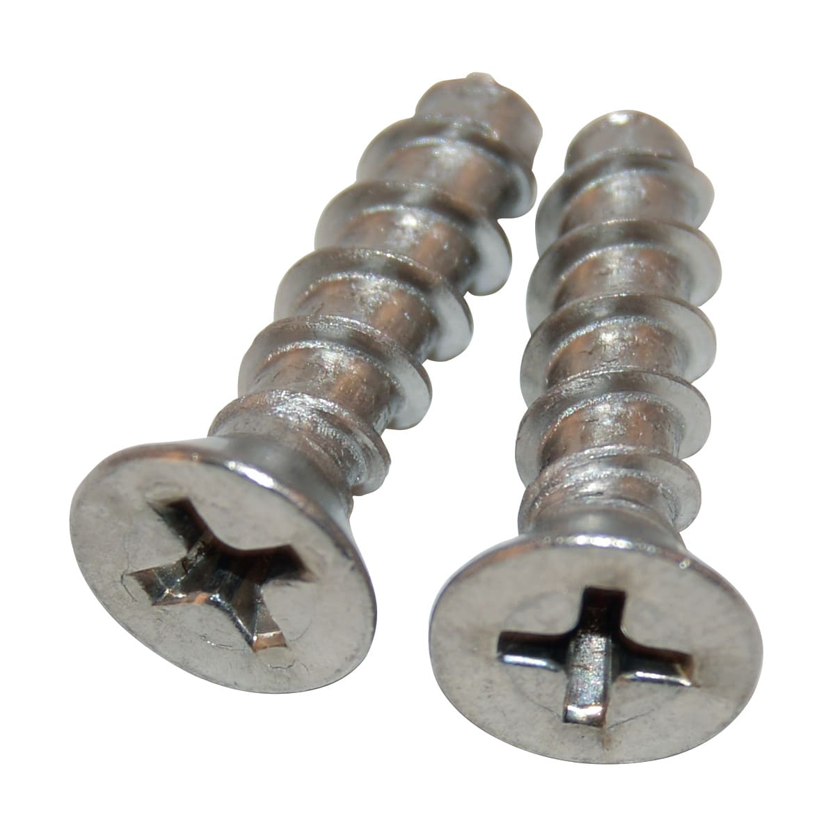 Hayward Grate Screw Set, Pack of 2 | SPX1425Z32