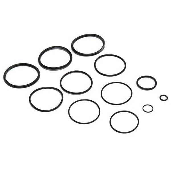 Jandy O-Ring Replacement Kit, for DE and Cartridge Pool and Spa Filters | R0358000