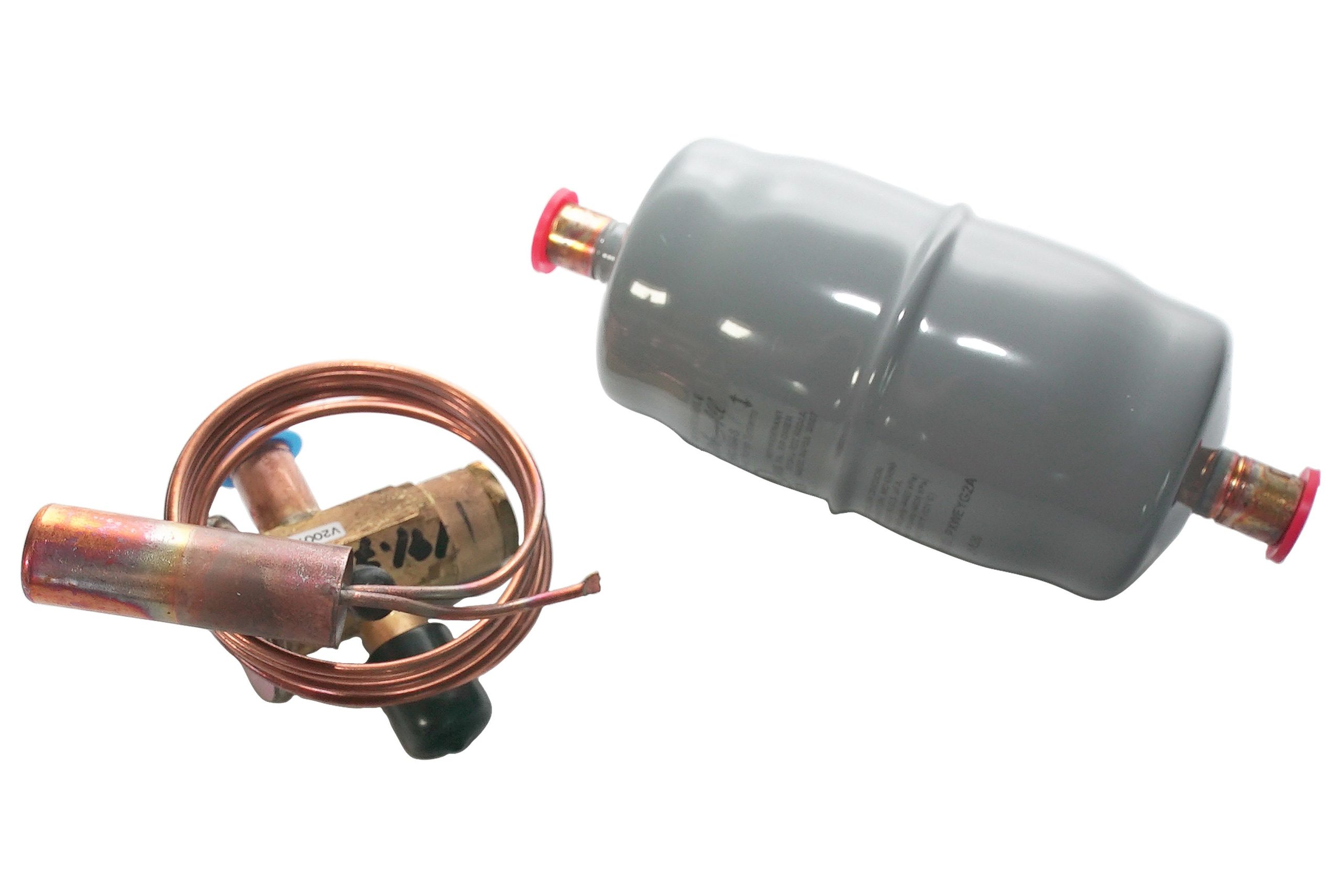 Jandy Pro Series Thermal Expansion Valve 3000 | R0575200
