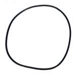 Pentair Clean & Clear Plus Filter Tank O-Ring 39010200