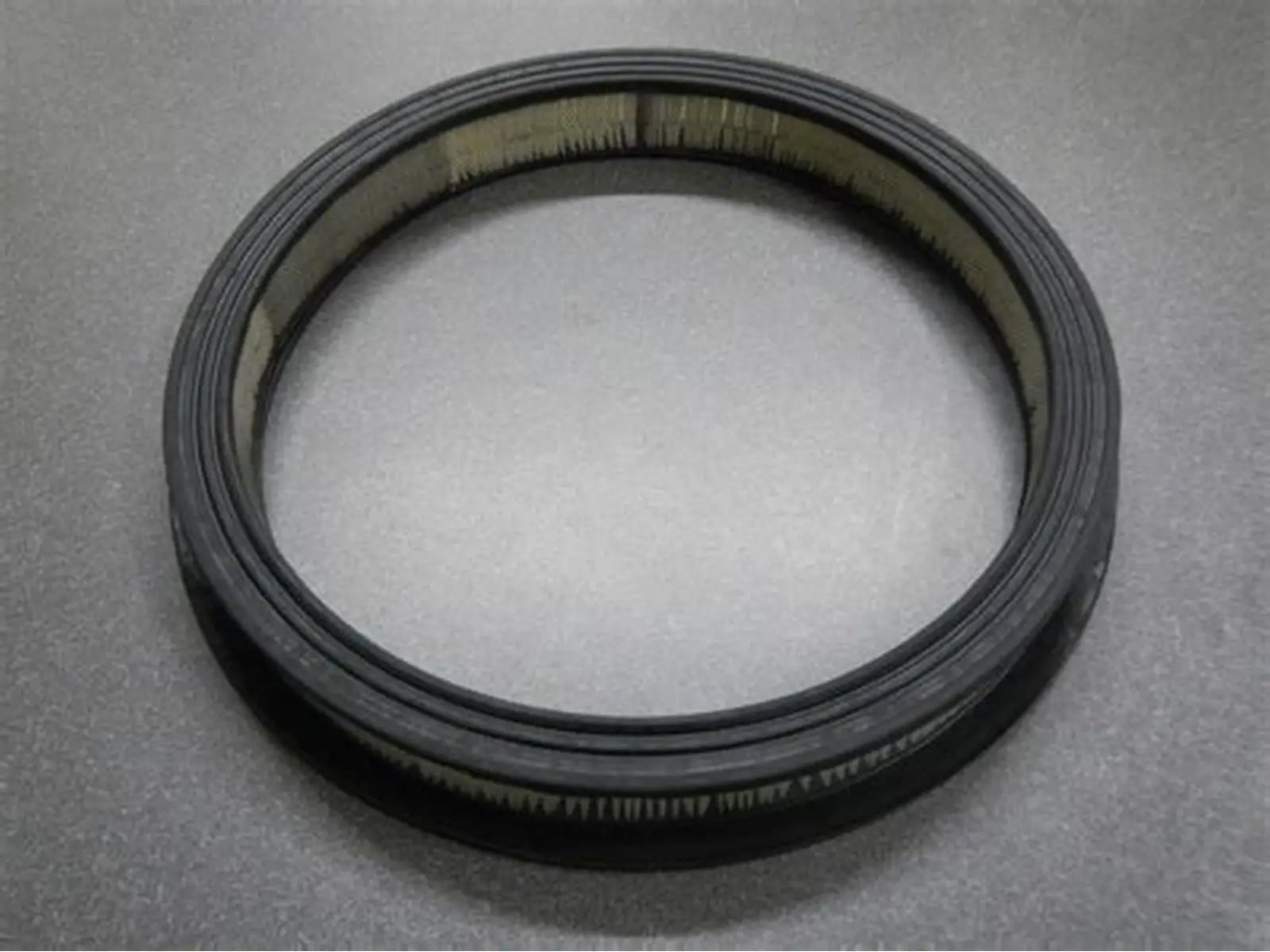 Jandy Spa Light Silicone Gasket | R0400500 Replacement SealJandy Spa Light Silicone Gasket | R0400500 Replacement Seal
