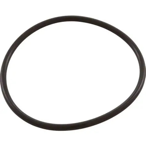 Pentair SuperFlo & Challenger Pump Diffuser O-Ring | 355331Pentair SuperFlo & Challenger Pump Diffuser O-Ring | 355331