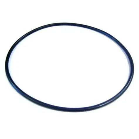 Pentair SuperMax & SuperFlo Seal Plate O-Ring — Part 355619Pentair SuperMax & SuperFlo Seal Plate O-Ring — Part 355619