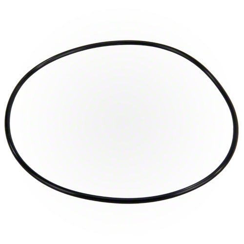 Polaris Booster Pump Bracket O-ring P95
