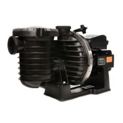 Pentair Max-E-Pro In-Ground Pool Pump, 1.1 HP, Single Speed | 348185