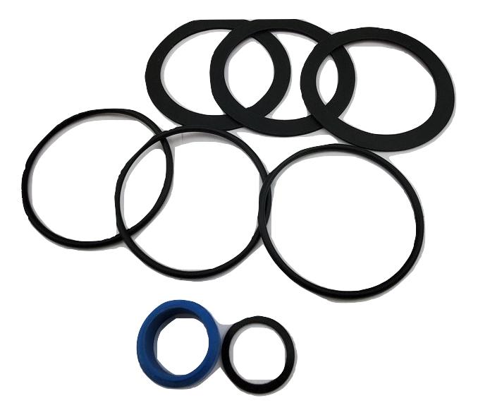 Pentair O-Ring Service Kit, Single | 523031