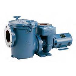 Pentair Commercial Pool Pump, 10 HP, 3 Phase, 230/460V | CCSPHL3-143