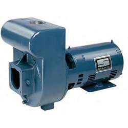 Pentair Flow Tech D Series Centrifugal Pump, 3 HP, 208-230/460V | DHH3-169