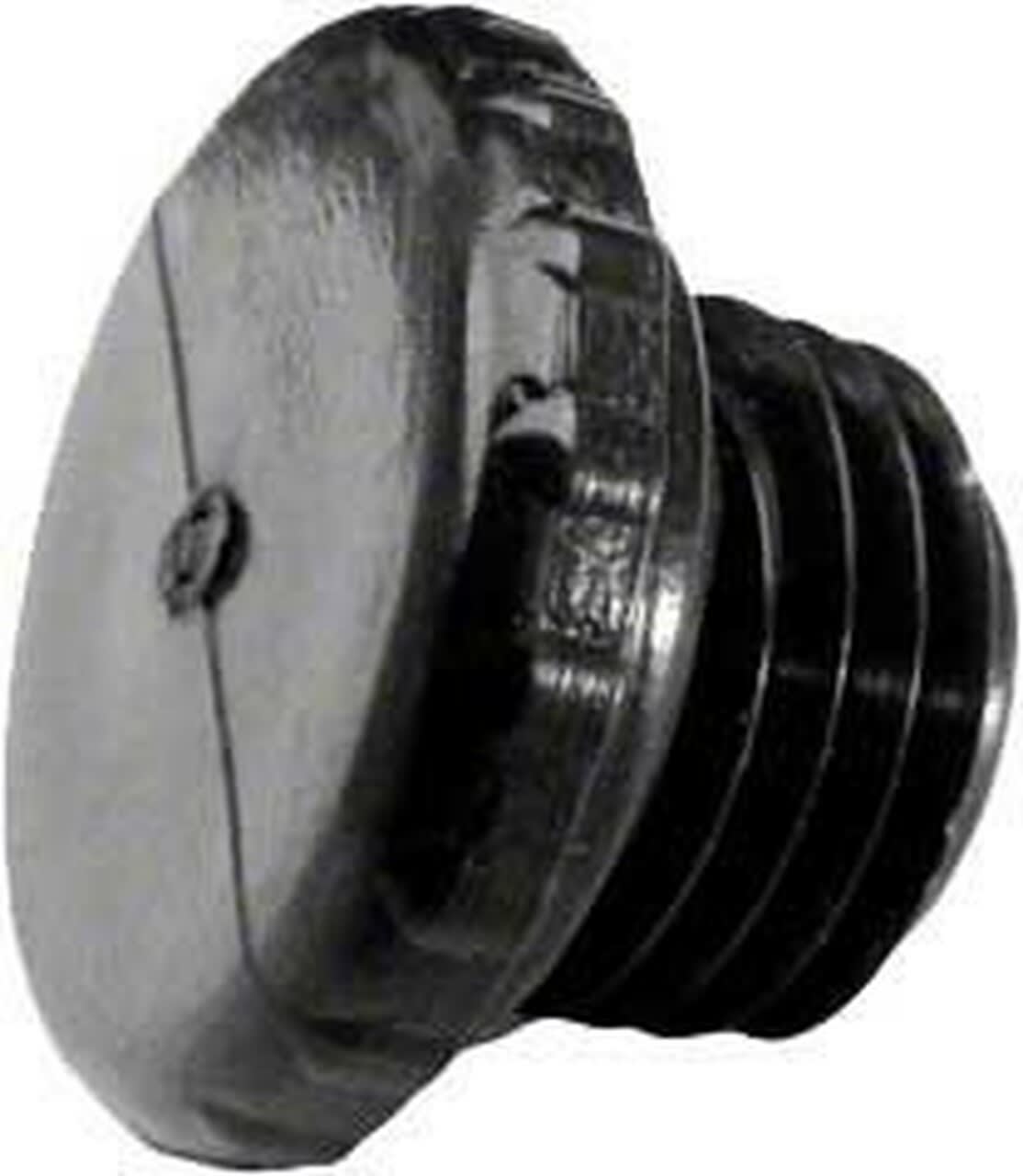 Pentair Access Plug, 1/4" MPT | R172392