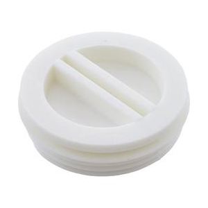 Pentair Flat Plastic Plug, 1-1/2", White | R22010Z