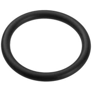 Pentair O-Ring | U9-371