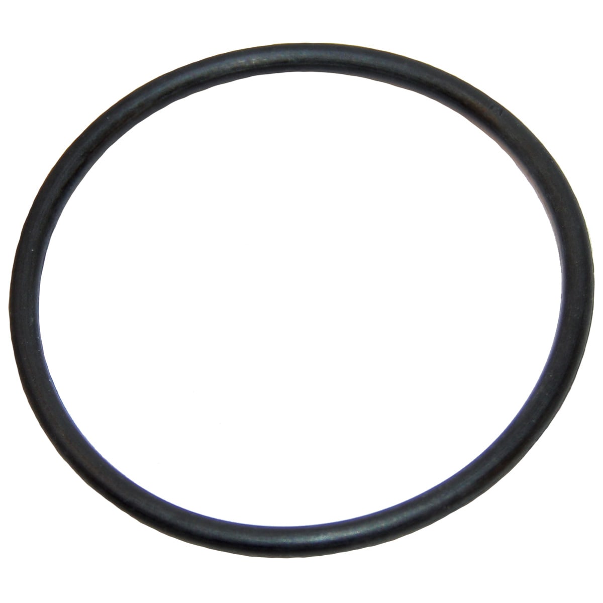 Polaris Feed Pipe O-Ring Assembly, Replacement | 9-100-5132