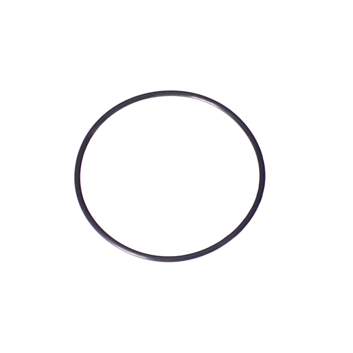 Polaris Back-Up Valve O-Ring Replacement Kit | G58