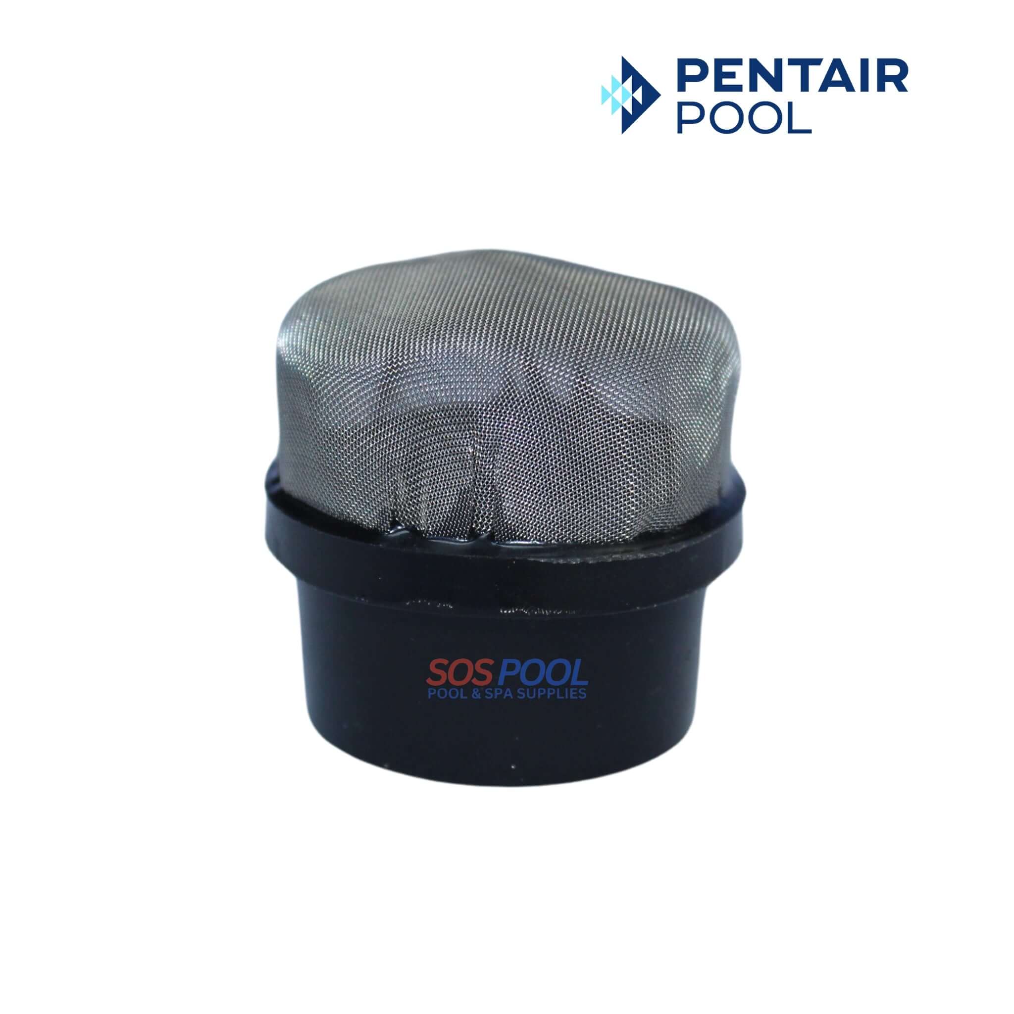 Pentair Air Bleeder Screen Cap Replacement for Clean & Clear Plus, EasyClean and Quad D.E Filters 1/4" | 190106Z