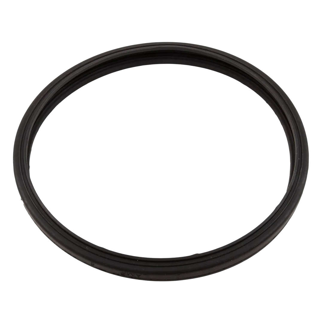 Sta-Rite 05501-0005Z Light Lens Gasket
