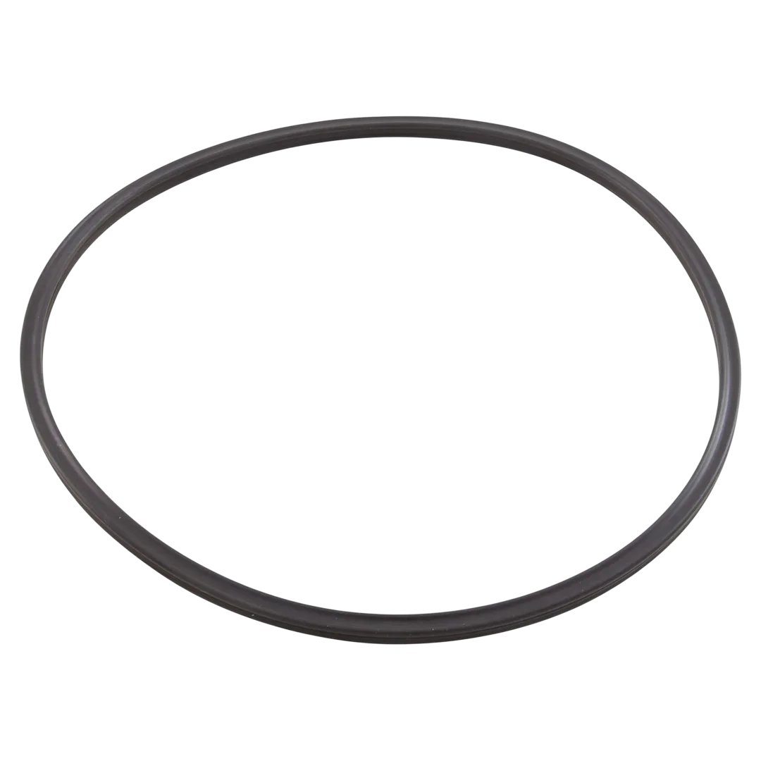 Pentair 152516Z Quad Ring
