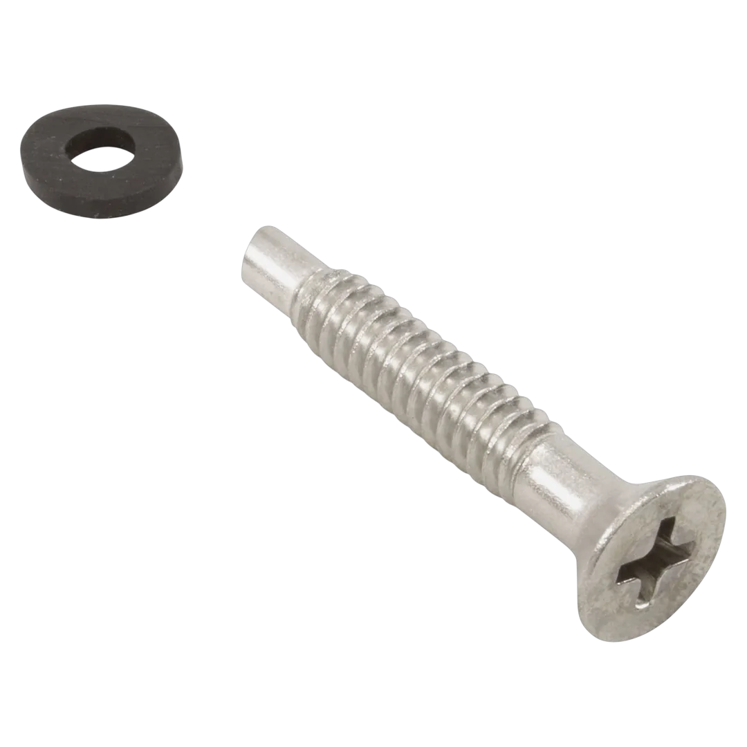 Pentair 619355Z Stainless Steel Pilot Screw