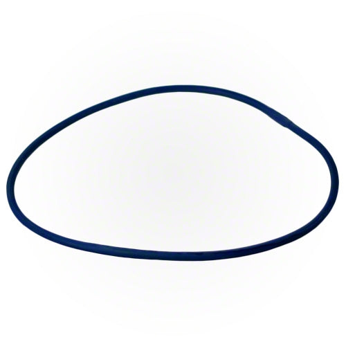 Jandy Blue Pressure Test O-ring R0479000