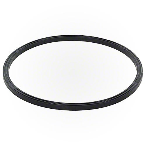Jandy JS Series Sand Filter Lid Seal R0487400