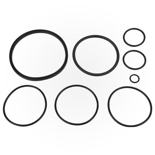 Zodiac Nature 2 Fusion O-Ring Kit R0502500
