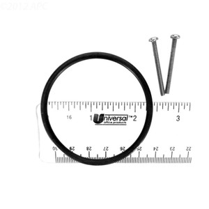Zodiac Jandy JHP/PHP Series Diffuser Mounting Hardware Set, R0555201