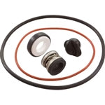 Polaris PB4SQ Booster Pump O-Ring Set w/ Drain Plug | R0734300