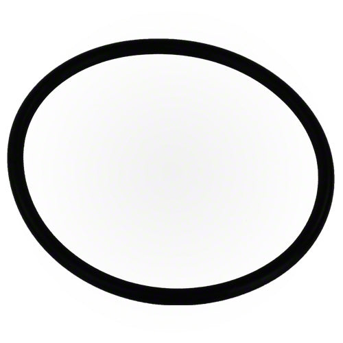 Pentair Automatic Feeder O-Ring Cap R172009Z