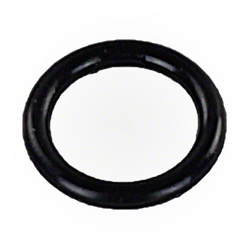 Pentair O-ring R172221