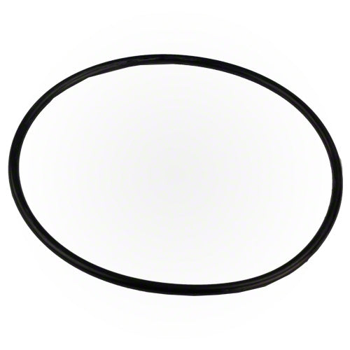 Pentair O-Ring R172223