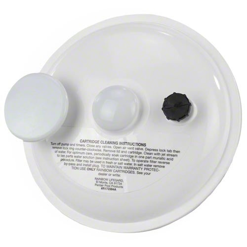 Pentair Dynamic Series Filter Lid R172385