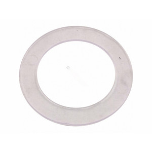 Pentair Cartridge Gasket, R172222Z