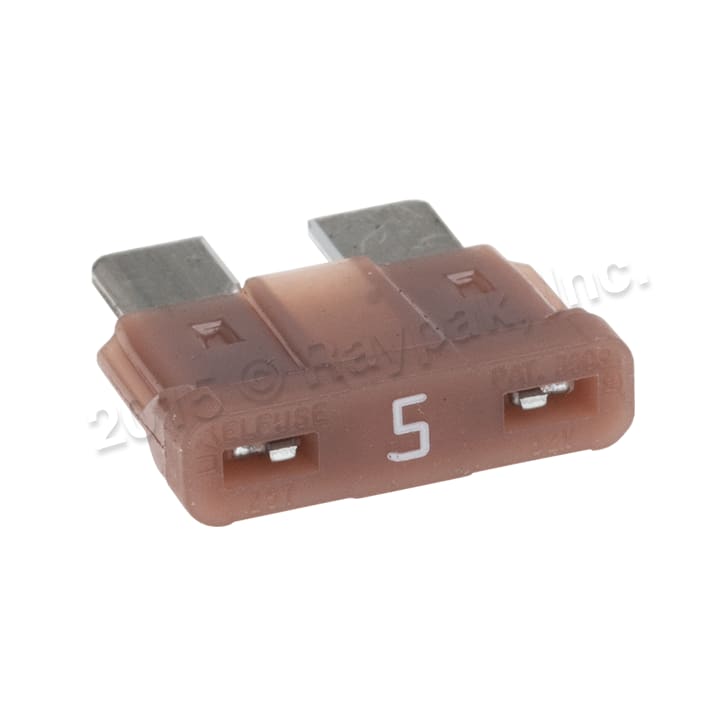 Raypak Fuse Kit, 5 Amp, for PC Board Protection | 013733F