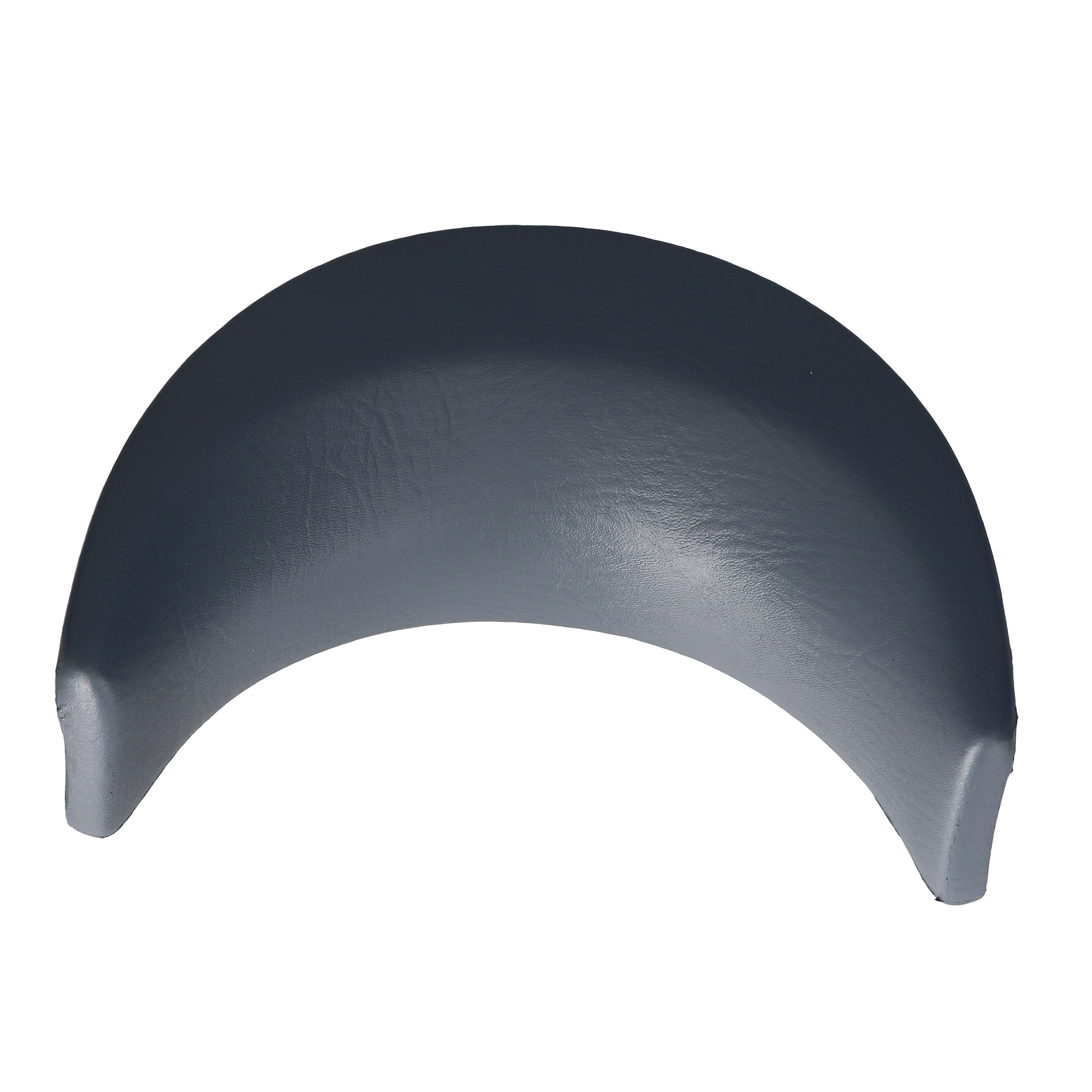 Dynasty Pillow S01995SIL