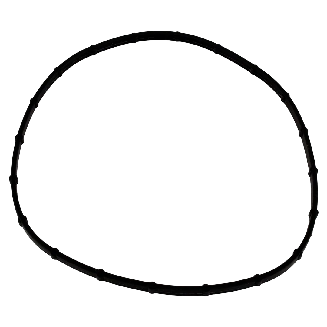 Sta-Rite Sunsaver Light Lens Seal 05101-0002
