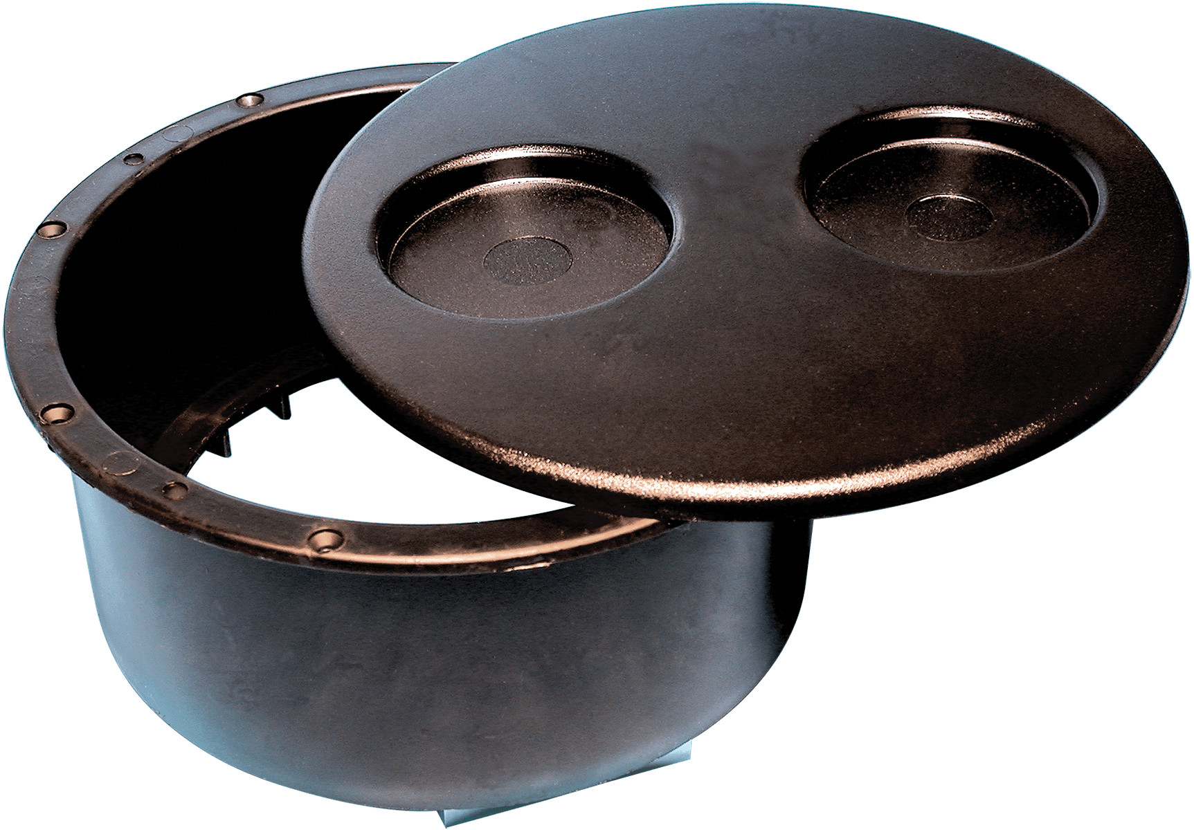 Waterway Plastics Filter Niche 2-Cup Lid and Screws, Black | 500-1021