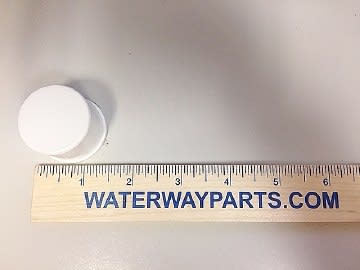 Waterway Plastics Slip Plug, 1" Spigot, for Pool Plumbing | 715-2000