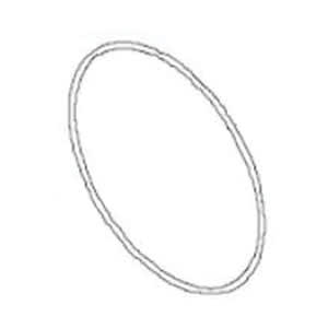 Waterway Plastics Volute O-Ring, Size #261 | 805-0261